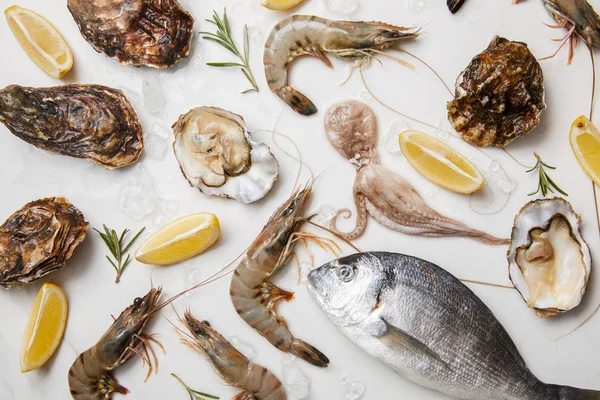 Seafood — Stock Photo