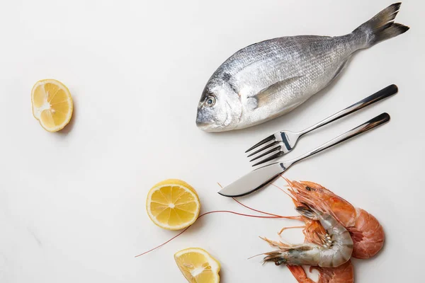 Fish — Stock Photo