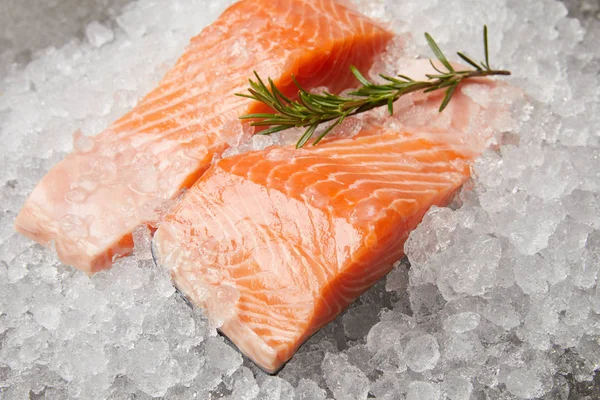 Close-up shot of sliced salmon with rosemary branch on crushed ice — Stock Photo