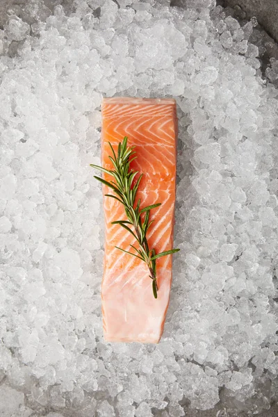 Top view of slice of red fish with rosemary branch on crushed ice — Stock Photo