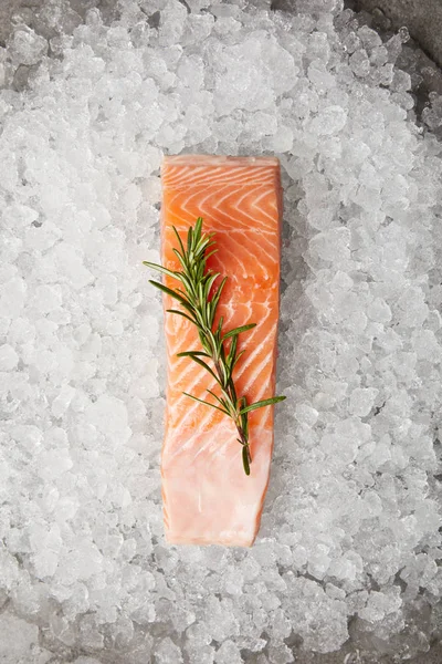 Vue de dessus de tranche de poisson rouge avec branche de romarin sur glace concassée — Photo de stock