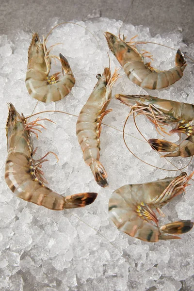 Vue de dessus des crevettes crues sur la glace concassée — Photo de stock