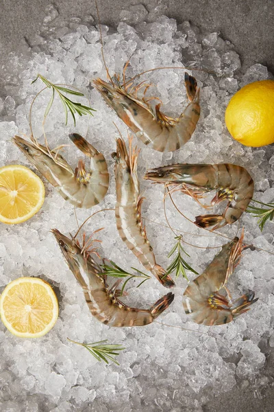 Top view of raw shrimps with rosemary and lemon slices on crushed ice — Stock Photo