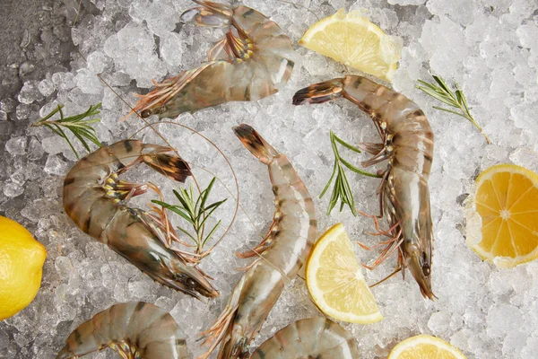 Vue de dessus des crevettes crues au romarin et tranches de citron sur glace concassée — Photo de stock