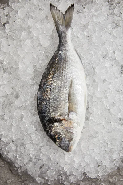 Vue de dessus de la dorade brute sur glace concassée — Photo de stock