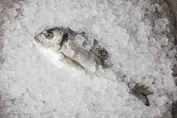 Vista superior del pescado crudo sobre hielo picado - foto de stock