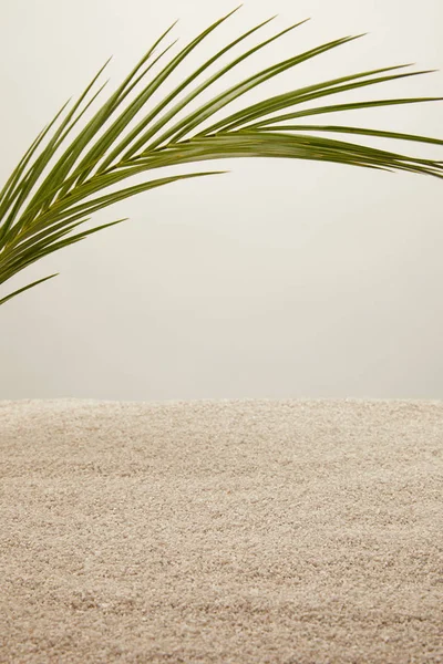 Близкий вид зеленого пальмового листа и песка на сером фоне — стоковое фото