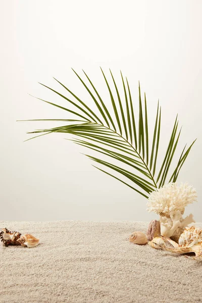 Близкий вид зеленого пальмового листа, кораллов и ракушек на песке на сером фоне — стоковое фото