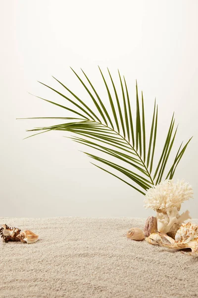 Close up view of arranged green palm leaf, coral and seashells on sand on grey background — Stock Photo