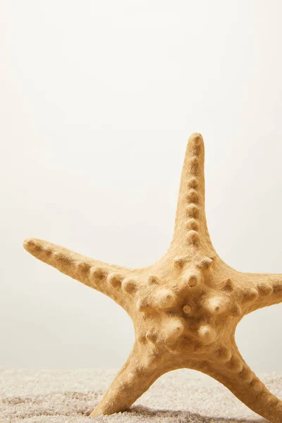 Close up vista da estrela do mar na areia no fundo cinza — Fotografia de Stock