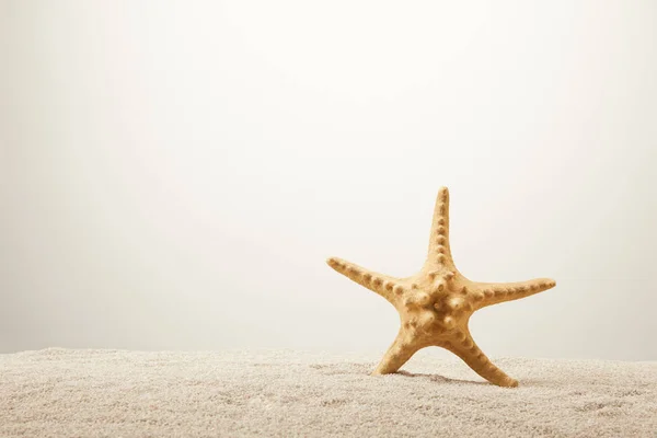 Close up view of sea star on sand on grey background — Stock Photo