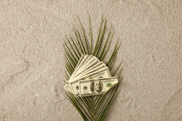 Vista superior da folha de palma verde e notas de dólar na areia, conceito de férias — Fotografia de Stock