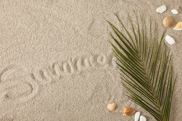 Draufsicht auf grünes Palmenblatt, Muscheln und Sommerinschrift auf Sand — Stockfoto