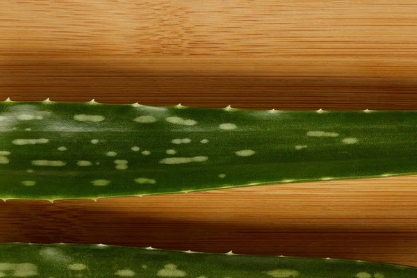 Erhöhte Ansicht von Aloe Vera Blättern auf hölzerner Tischplatte — Stockfoto