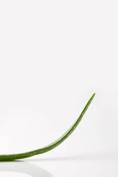 Close-up tiro de aloe vera folha isolada no fundo branco — Fotografia de Stock