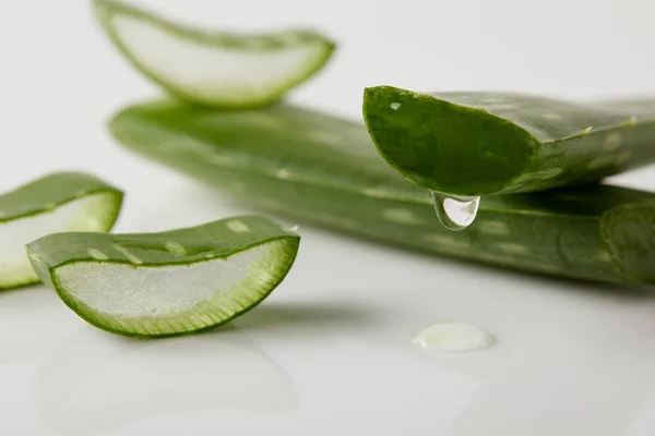 Close-up tiro de aloe vera folhas suculentas e fatias na superfície branca — Fotografia de Stock