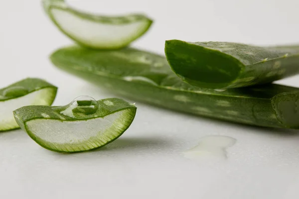 Close-up tiro de aloe vera folhas fatias com suco — Fotografia de Stock