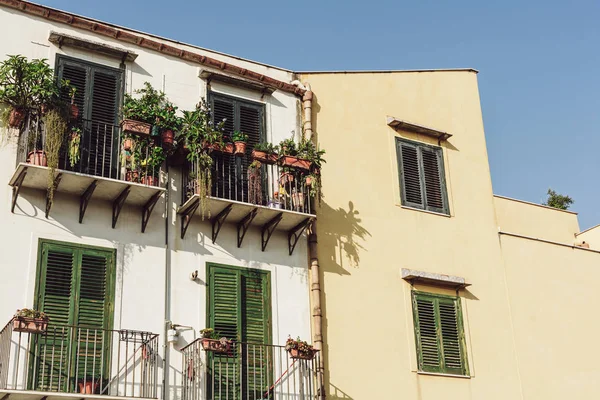 Edificio con ventanas y plantas en balcones en italia - foto de stock