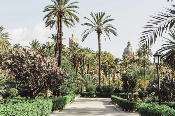 PALERMO, ITALY - OCTOBER 3, 2019: green palm trees in garden villa bonanno near cattedrale di palermo — Stock Photo