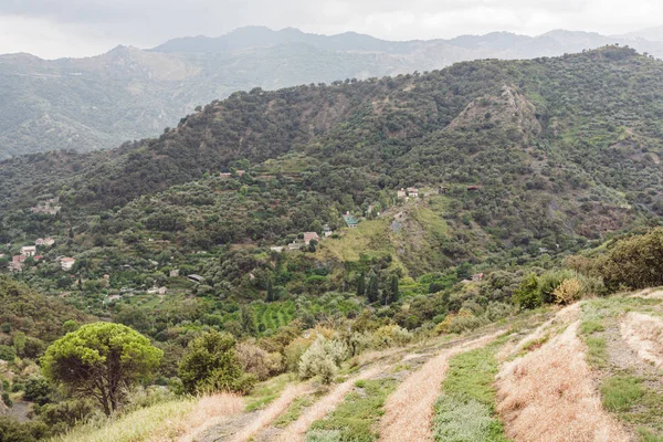 Árboles verdes en tranquilas montañas contra el cielo - foto de stock