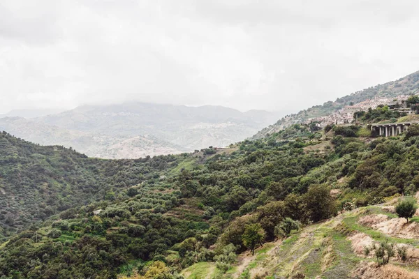 Green trees in tranquil mountains against sky with clouds — Stock Photo