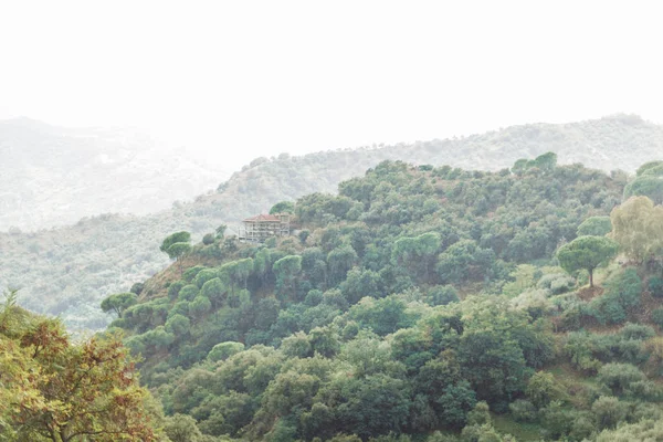 Alberi verdi nelle montagne italiane contro il cielo con le nuvole — Foto stock