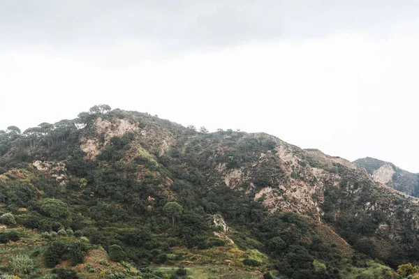 Árboles verdes y plantas en tranquilas montañas contra el cielo - foto de stock