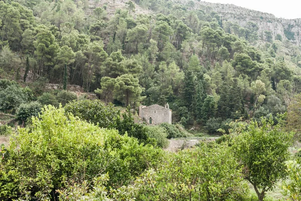 Alberi verdi vicino casa antica in modica, italia — Foto stock