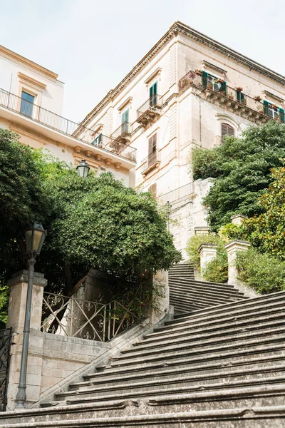 Vue à angle bas des plantes et des arbres près des escaliers et des vieilles maisons à Modica, Italie — Photo de stock
