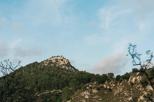 Selective focus of green trees on hill against blue sky with clouds in ragusa, italy — Stock Photo