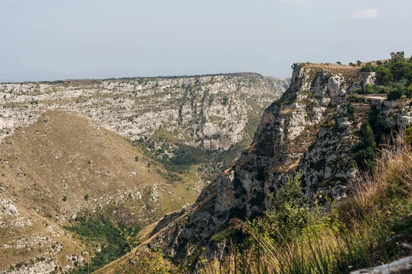 Сонячне світло на зелених рослинах і деревах в горах — стокове фото