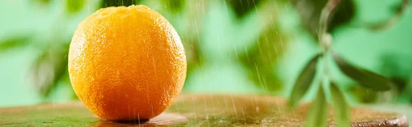 Foco seletivo de laranja inteira com gotas na placa de corte de madeira — Fotografia de Stock