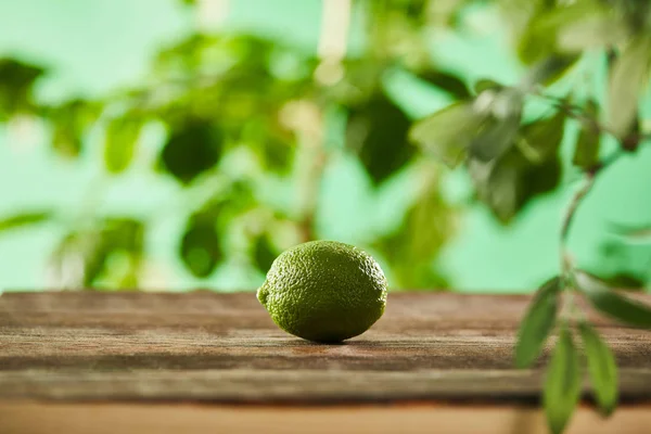 Selective focus of fresh and whole lime on wooden surface — Stock Photo