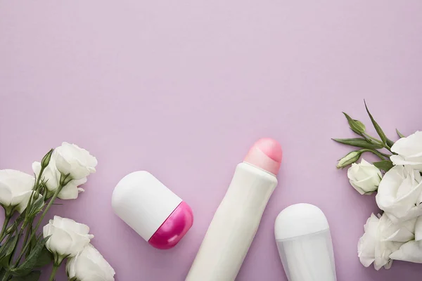 Draufsicht auf Deodorant-Flaschen auf violettem Hintergrund mit weißen Rosen — Stockfoto