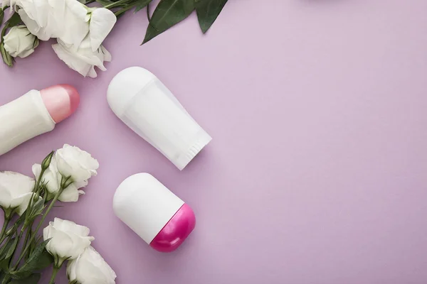 Draufsicht auf Deodorant-Flaschen auf violettem Hintergrund mit weißen Rosen — Stockfoto