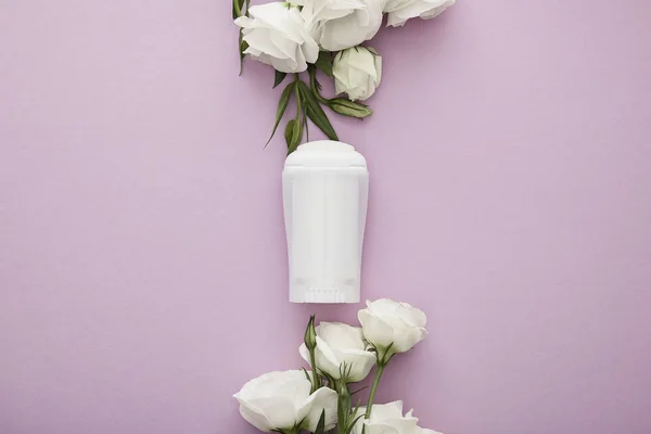 Vista dall'alto di rotolo su bottiglia di deodorante su sfondo viola con rose bianche — Foto stock