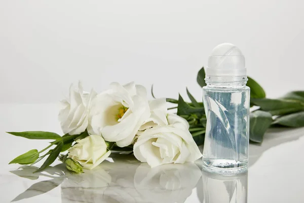 Rollo en botella de desodorante con rosas aisladas en blanco - foto de stock