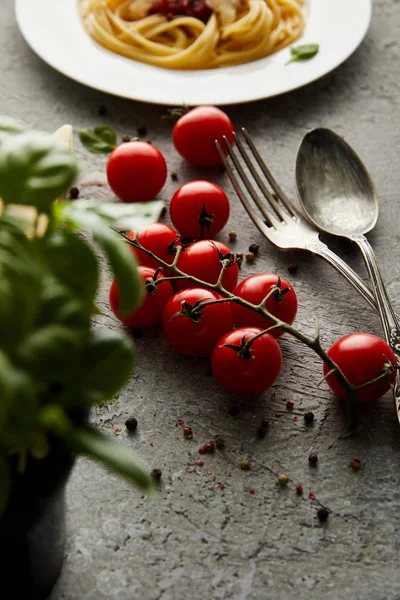 Selektiver Fokus von Tomaten, Basilikum und Messer mit Löffel in der Nähe schmackhafter Bolognese-Pasta auf grauem Hintergrund — Stockfoto