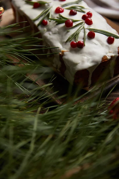 Selective focus of traditional Christmas cake with cranberry near pine branch — Stock Photo