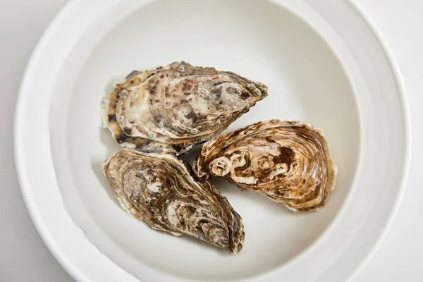 Vue du dessus du bol avec de l'eau et des huîtres isolées sur blanc — Photo de stock