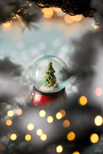 Piccola palla di neve con albero di Natale in piedi su blu con rami di abete rosso, neve e luci sfocate — Foto stock