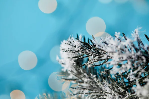 Close up of spruce branches in snow with christmas lights bokeh on blue — Stock Photo