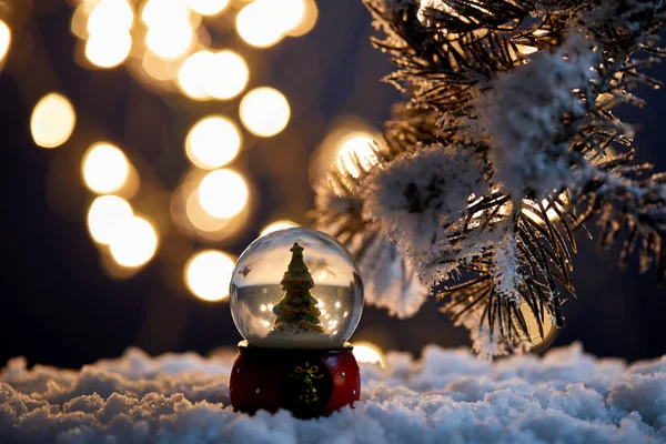 Pequeño árbol de Navidad en bola de nieve de pie en la nieve con ramas de abeto y luces borrosas en la noche - foto de stock