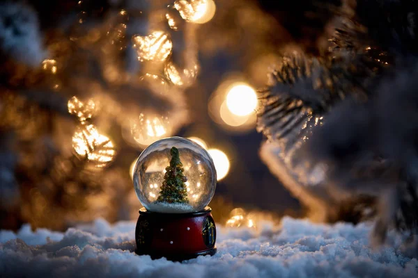 Árbol de Navidad en bola de nieve de pie en la nieve con ramas de abeto y luces bokeh por la noche - foto de stock