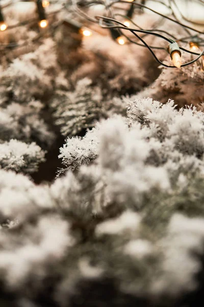 Gros plan des lumières guirlande sur les branches d'épinette dans la neige — Photo de stock