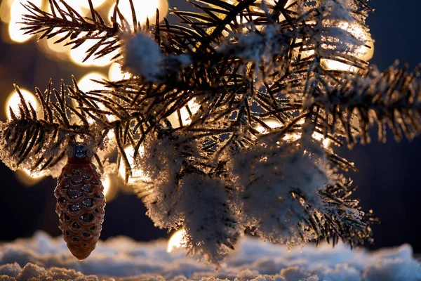 Close up of spruce branches in snow with decorative pine cone and christmas lights bokeh at night — Stock Photo