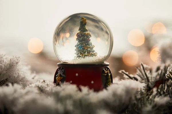 Christmas tree in snowball standing on spruce branches in snow with blurred lights — Stock Photo
