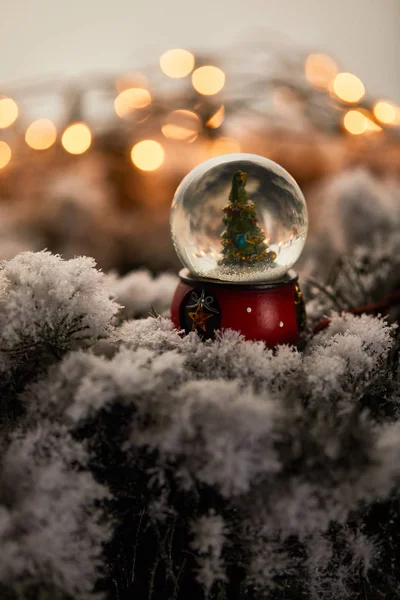 Kleiner Schneeball mit Weihnachtsbaum steht auf Fichtenzweigen im Schnee mit Lichtern Bokeh — Stockfoto