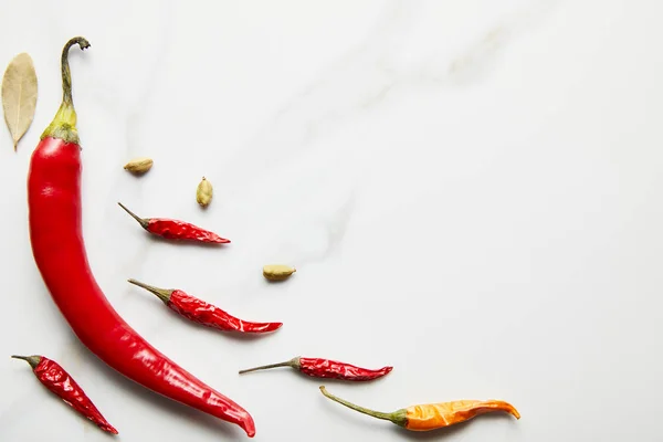 Draufsicht auf Chilischoten mit Kardamom und Lorbeerblatt auf Marmorhintergrund — Stockfoto