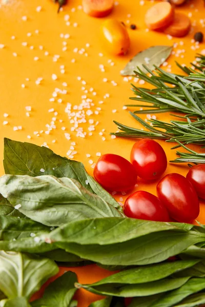 Fresh herbs with vegetables and salt on orange background — Stock Photo